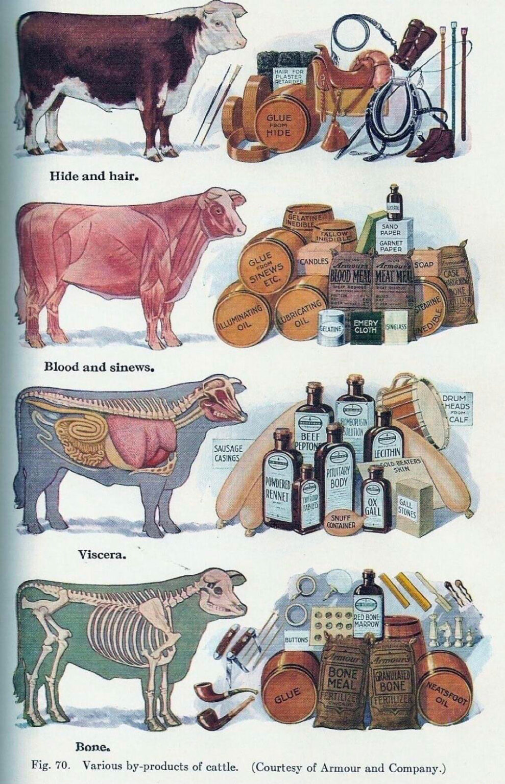 Animal By-products
